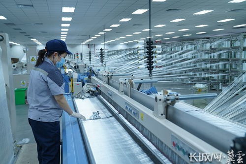 學思用貫通 知信行統一 冀中能源打造百億級玻璃纖維產業集群與新興能源技術研發